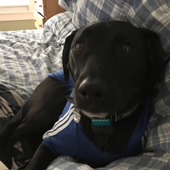 Meet your Posher, Donnamarie - Picture 3 of 5